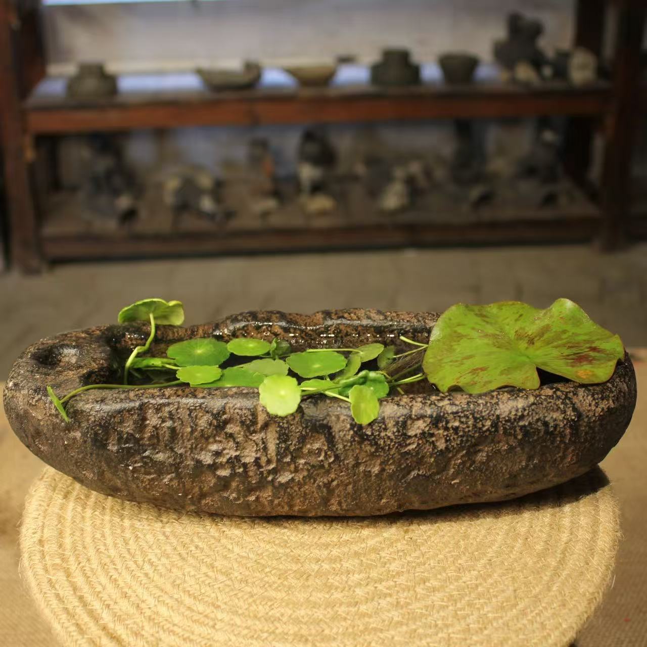 产品名称十三